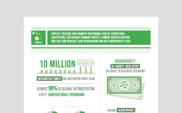 Goal Infographic